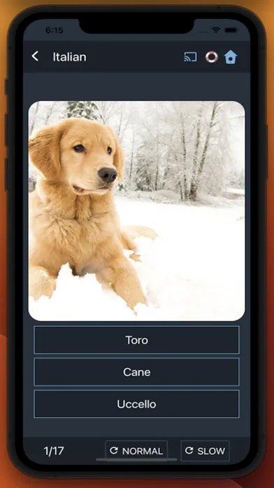 Capturas de tela do Bluebird: Learn Italian
