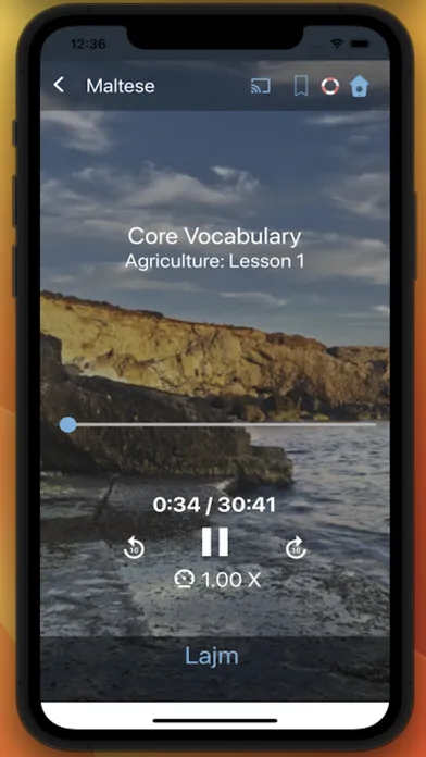 Zrzuty ekranu Bluebird: Learn Maltese
