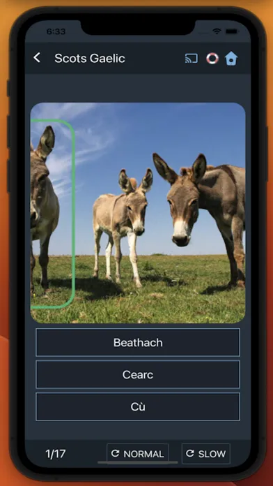 Bluebird: Learn Scots Gaelic Screenshots