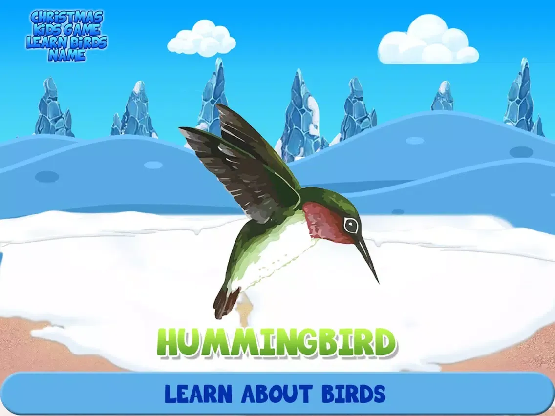 Zrzuty ekranu Christmas Kids Game Learn Birds Name iPad 