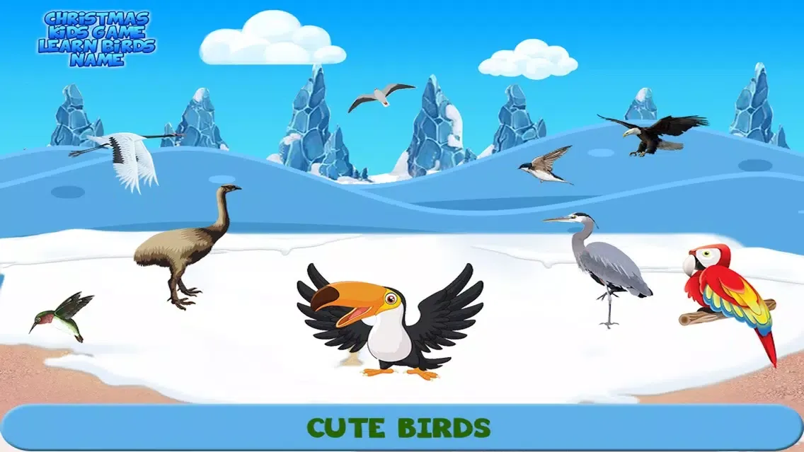 Zrzuty ekranu Christmas Kids Game Learn Birds Name