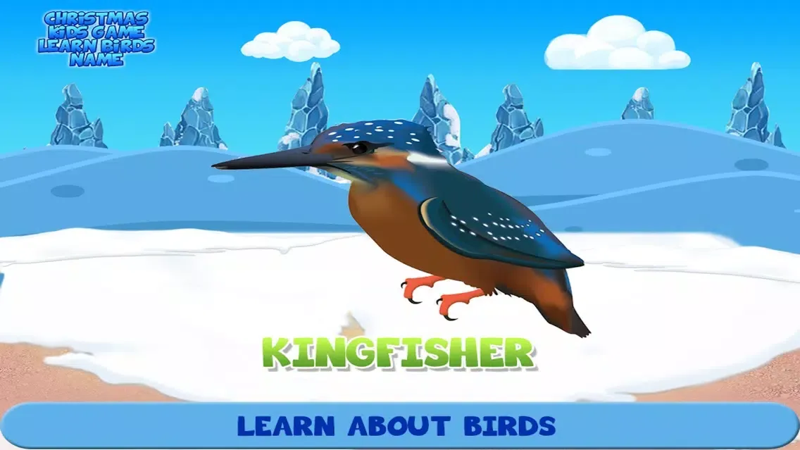 Zrzuty ekranu Christmas Kids Game Learn Birds Name
