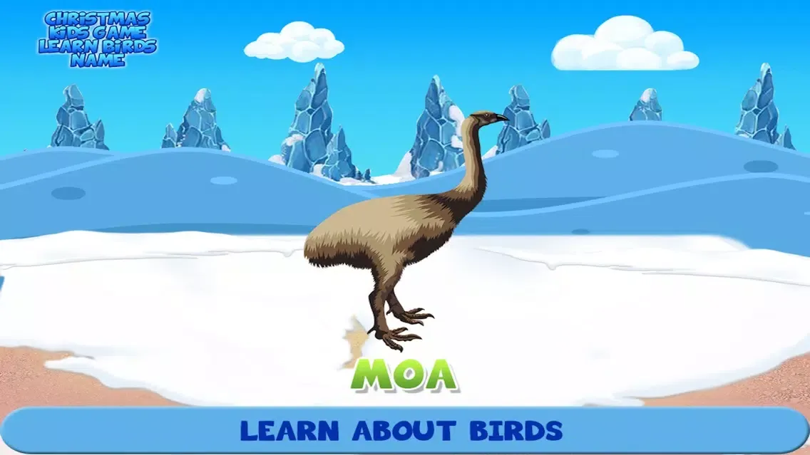 Zrzuty ekranu Christmas Kids Game Learn Birds Name