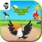 Kids Game Learn Birds Name