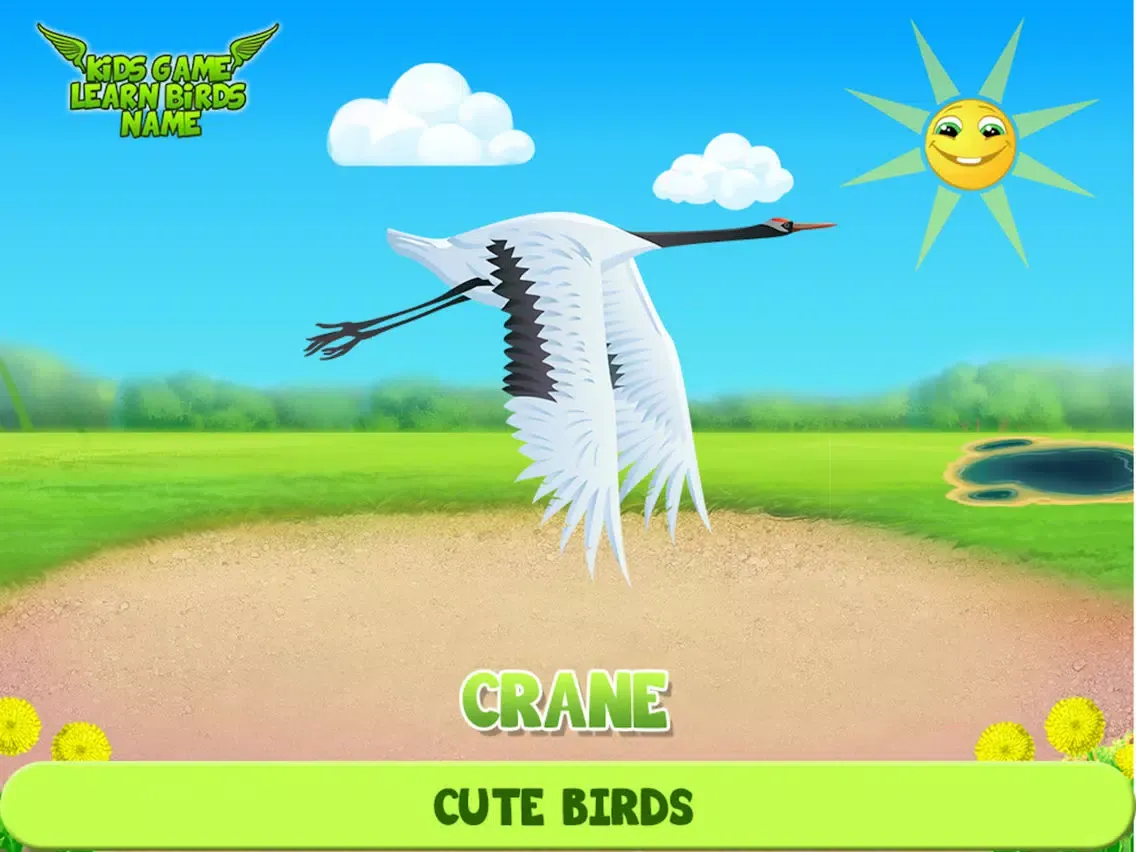 Screenshot di Kids Game Learn Birds Name iPad 