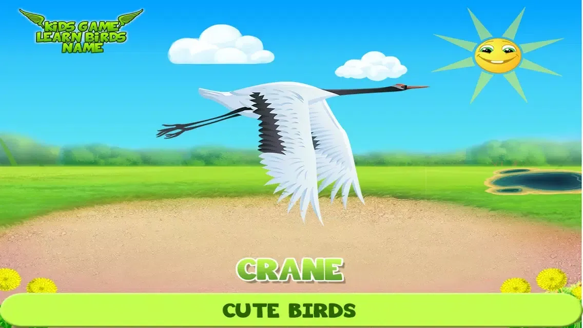Screenshot di Kids Game Learn Birds Name