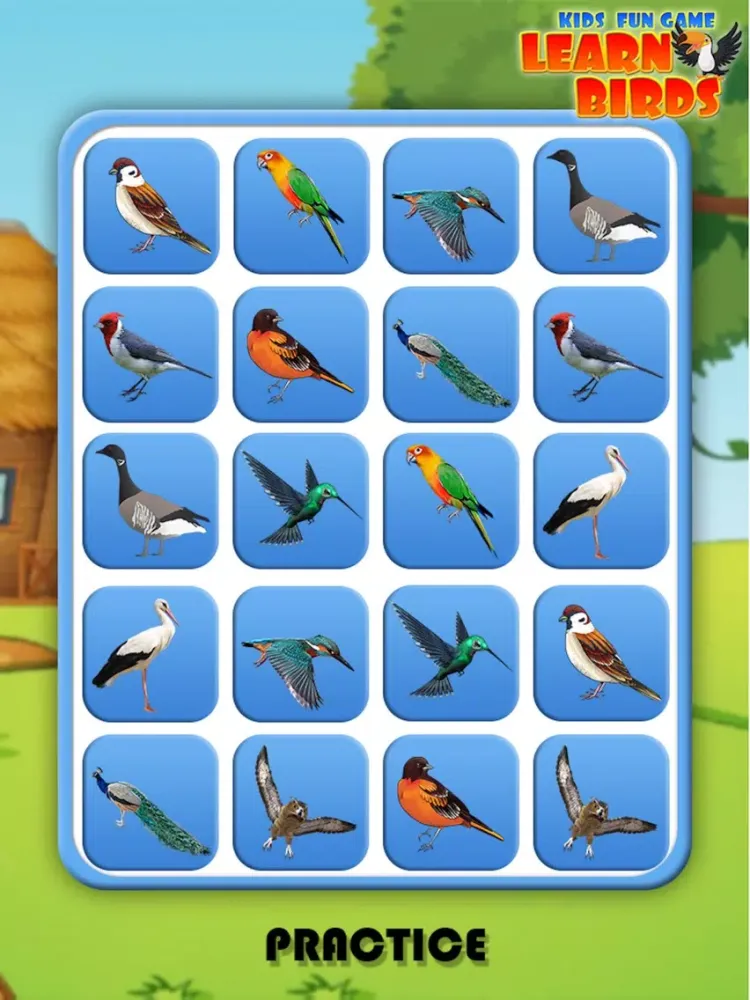 Capturas de pantalla de Pro Kids Fun Game Learn Birds iPad 
