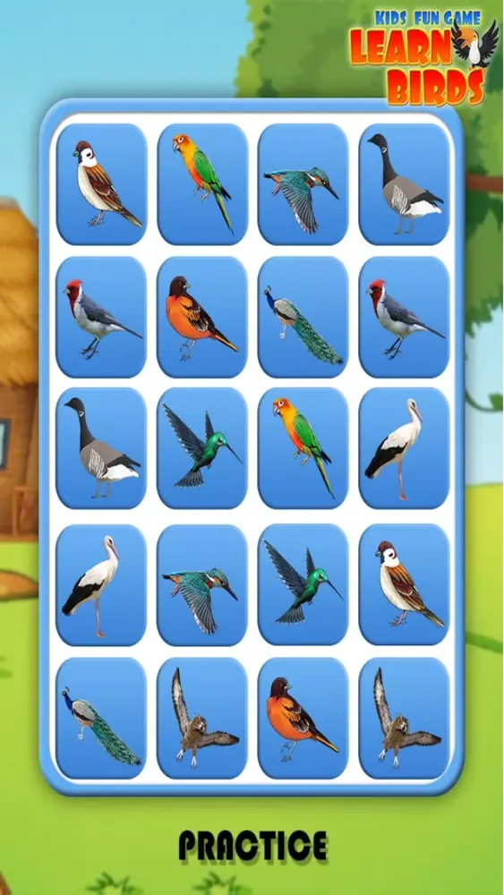 Capturas de pantalla de Pro Kids Fun Game Learn Birds
