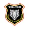 Força Tigre Vigilância e Segur
