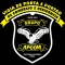 Grupo Apcom