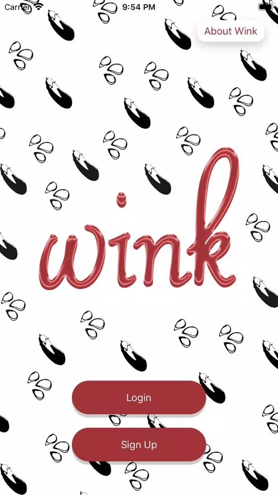 wink-date your crush应用截图