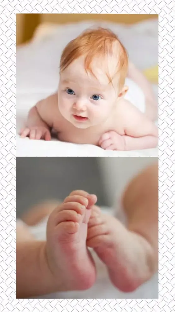 Скриншоты Fotovive Easy Photo Editor