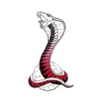 Cobra VolleyBall