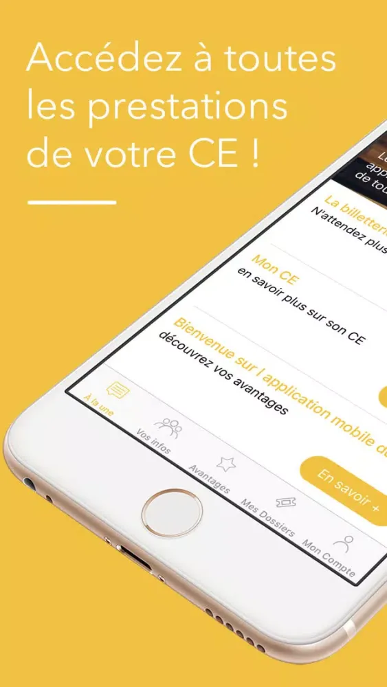 Capturas de pantalla de CE DUP VERTIV FRANCE