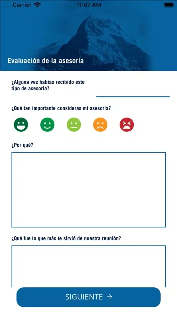 ADN Análisis de Necesidades スクリーンショット