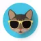 Motivation Cats