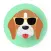 Inspiration Dogs