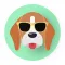 Inspiration Dogs