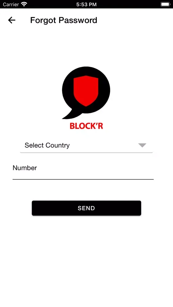 Capturas de pantalla de Block'R