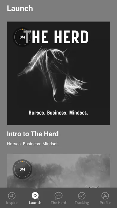 Capturas de pantalla de Equine Entrepreneur
