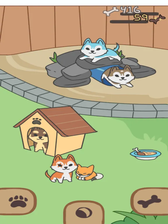 My Huskies iPad 应用截图