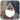 DSLR Blur Effects