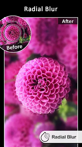 DSLR Blur Effects: Photo Focus Screenshots