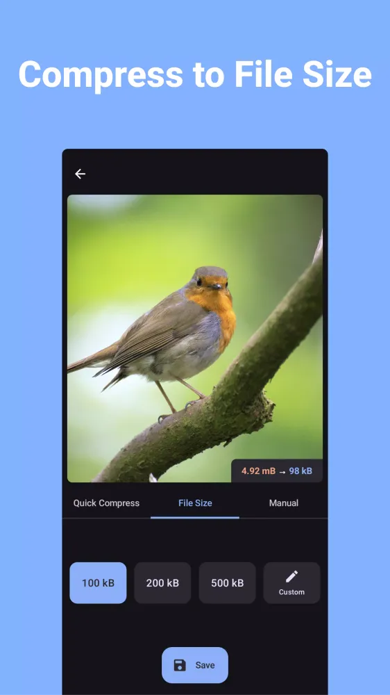 Compress Image Screenshots