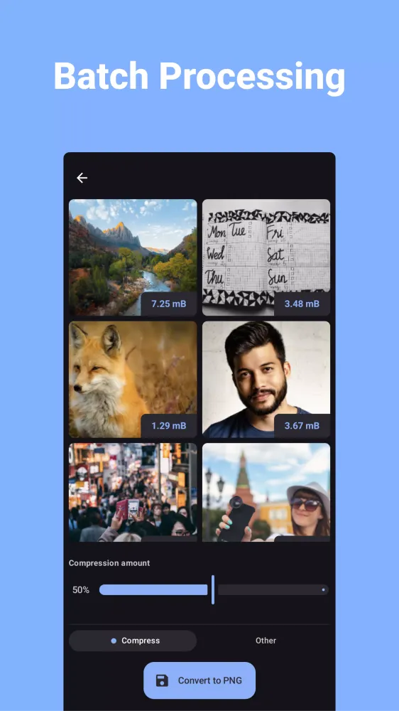 Convert Images to PNG Screenshots