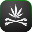 MyStashBox - by Black Market