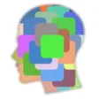 FLUCT - Full Color Personality Test FLUCT - Full Color Personality Test