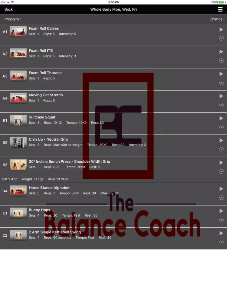 صور The Balance Coach iPad 