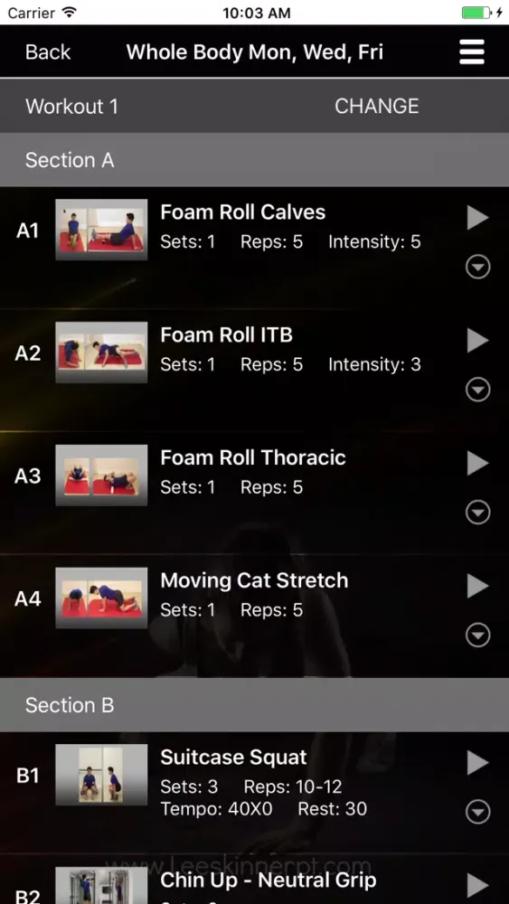 Capturas de pantalla de Lee Skinner