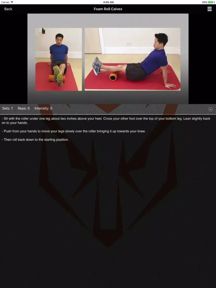 StrongFox iPad  Screenshots
