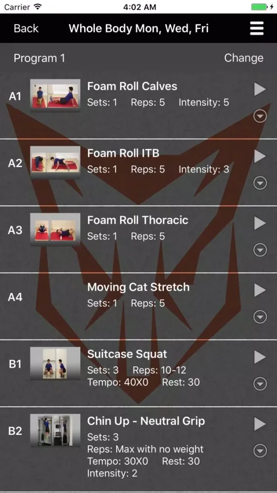 StrongFox Screenshots