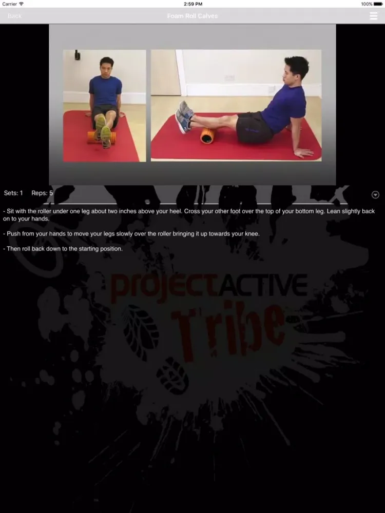 Project Active iPad  स्क्रीनशॉट