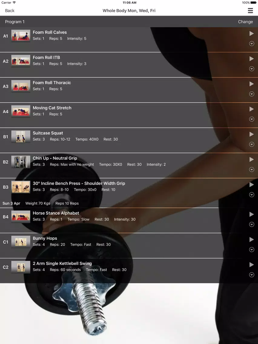 Tangkapan layar Pure Form iPad 