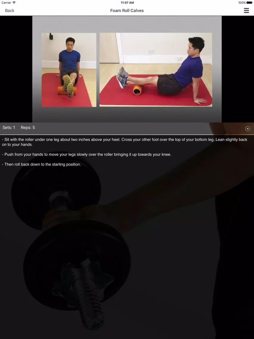 Tangkapan layar Pure Form iPad 