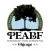 Chicago Park Employees' Fund