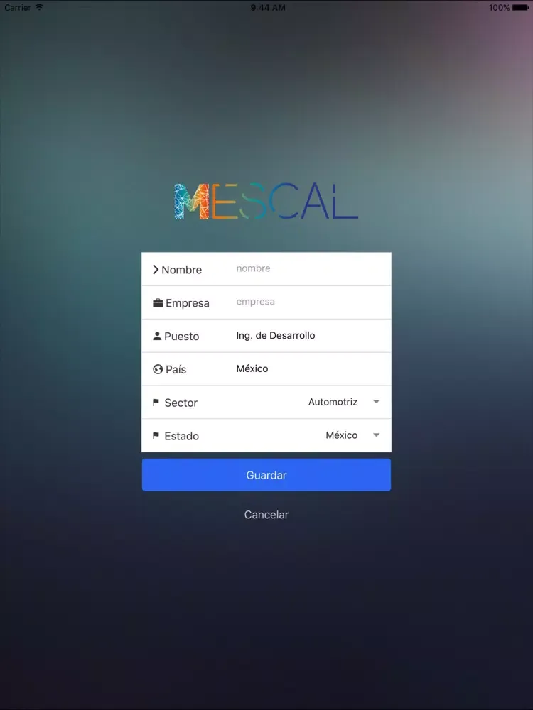 Скриншоты MESCAL iPad 