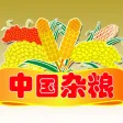 中国杂粮网