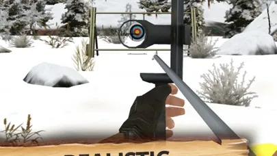 Archery Master 3D Cup Screenshots