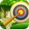 Shoot Arrow - Bow Game Free