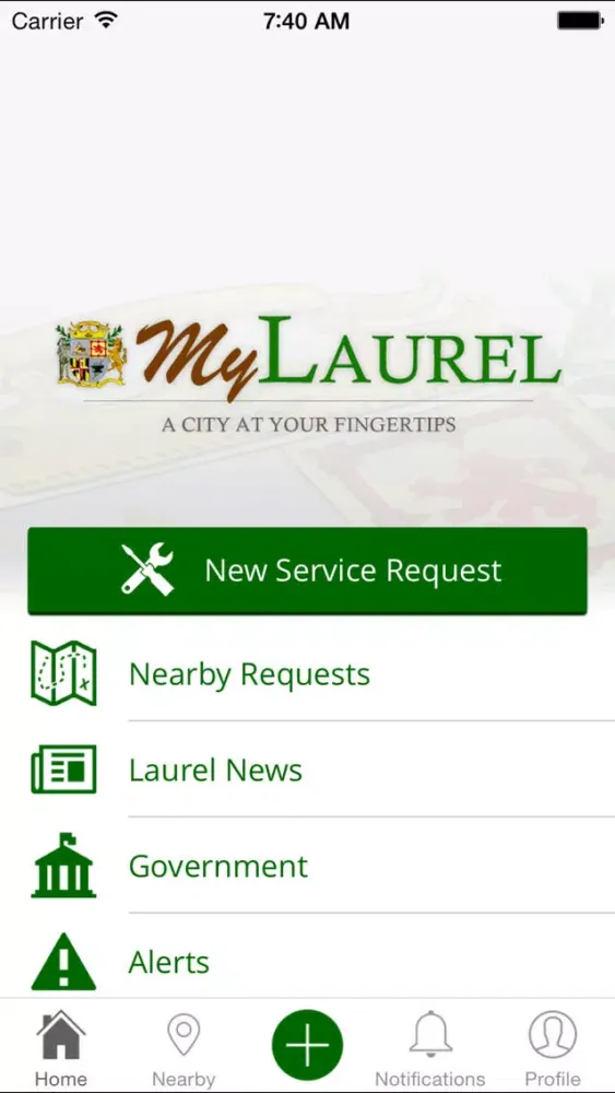 صور My Laurel