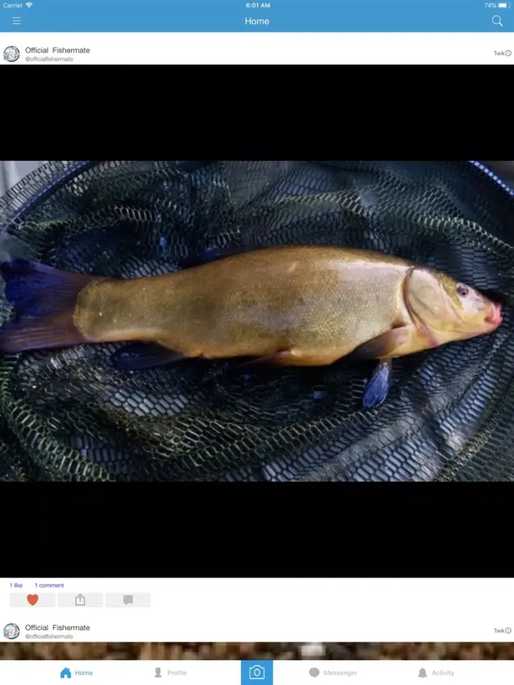 Скриншоты FisherMate Social iPad 