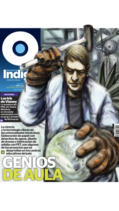 Reporte Indigo DF Screenshots