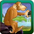 Monkey Run - Jump and Race Through The Jungle