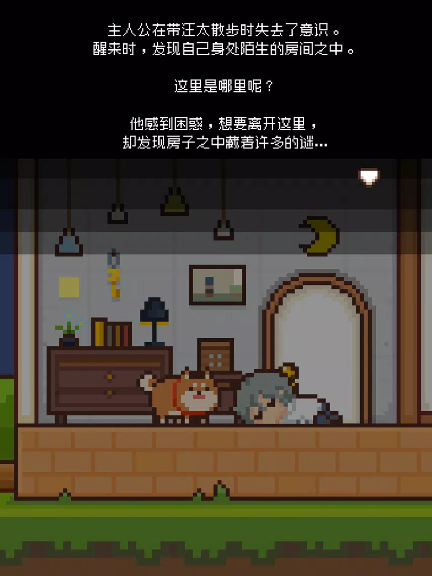Captures d'écran de 像素小屋 iPad 