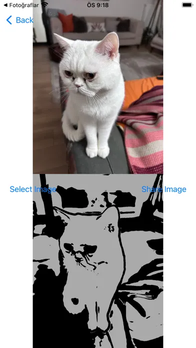 صور Toon&More AI Image Editor Pro