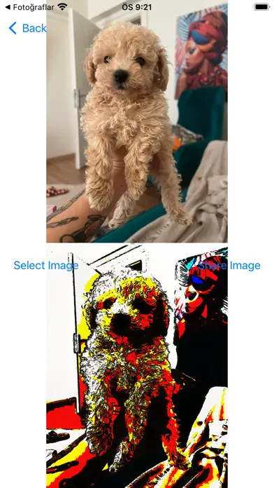 صور Toon&More AI Image Editor Pro